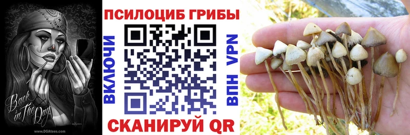 Псилоцибиновые грибы мухоморы  купить   Череповец 